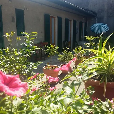 Adelaide Verbania